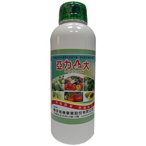 亞力山大 亞力山大