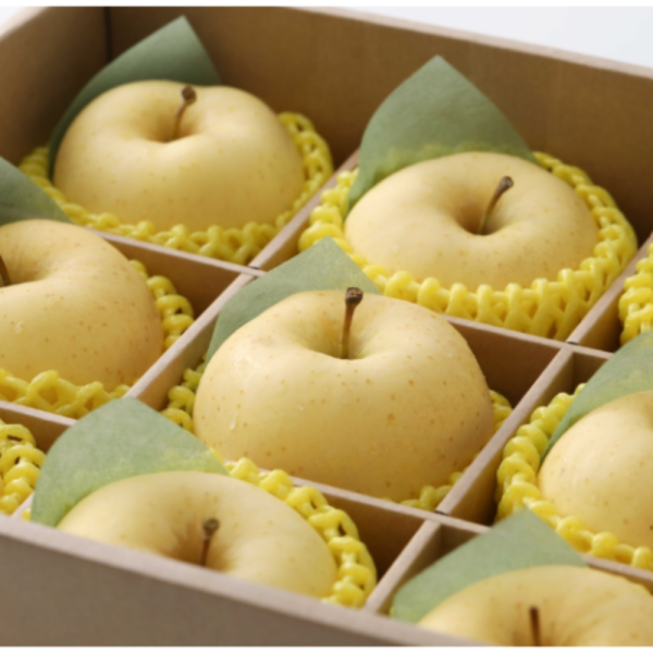 日本金星蘋果禮盒